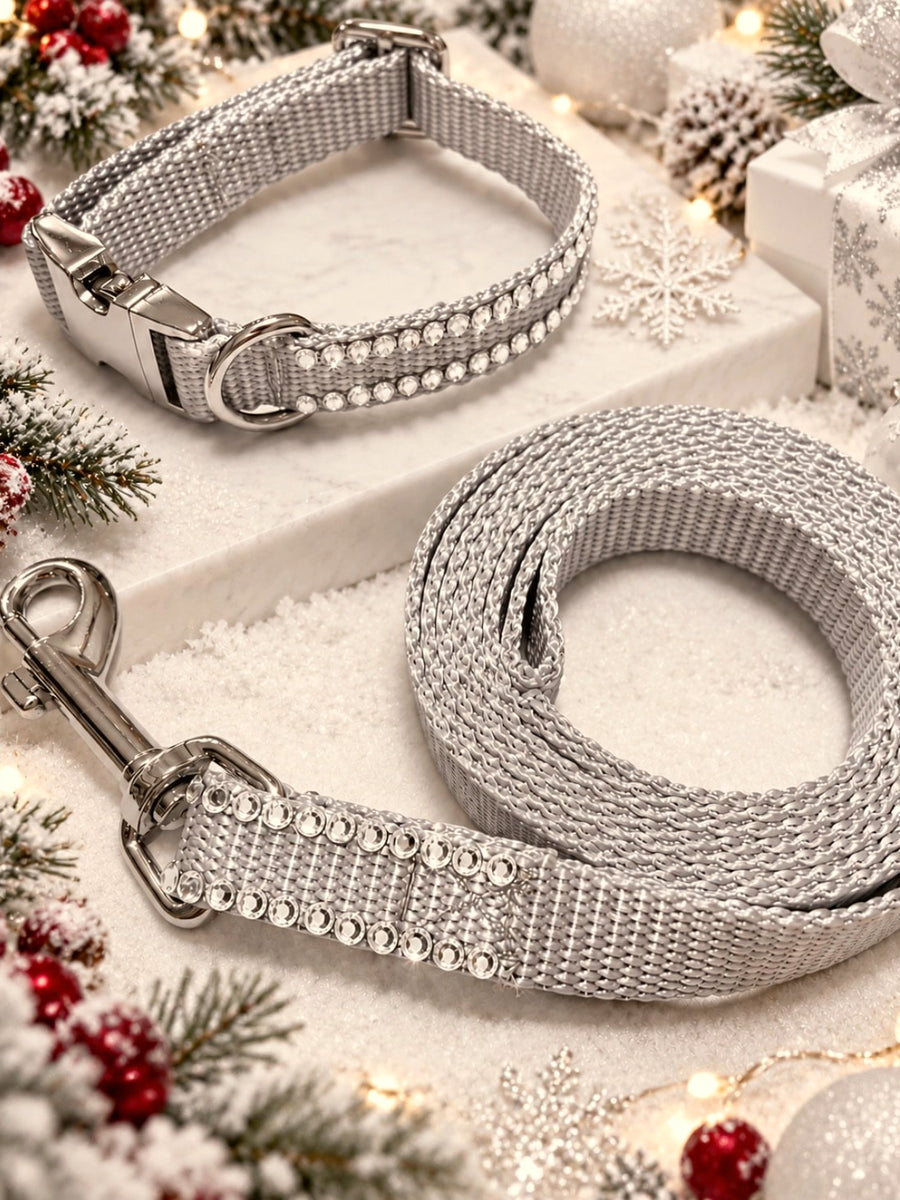 Rhinestone Collar and Leash